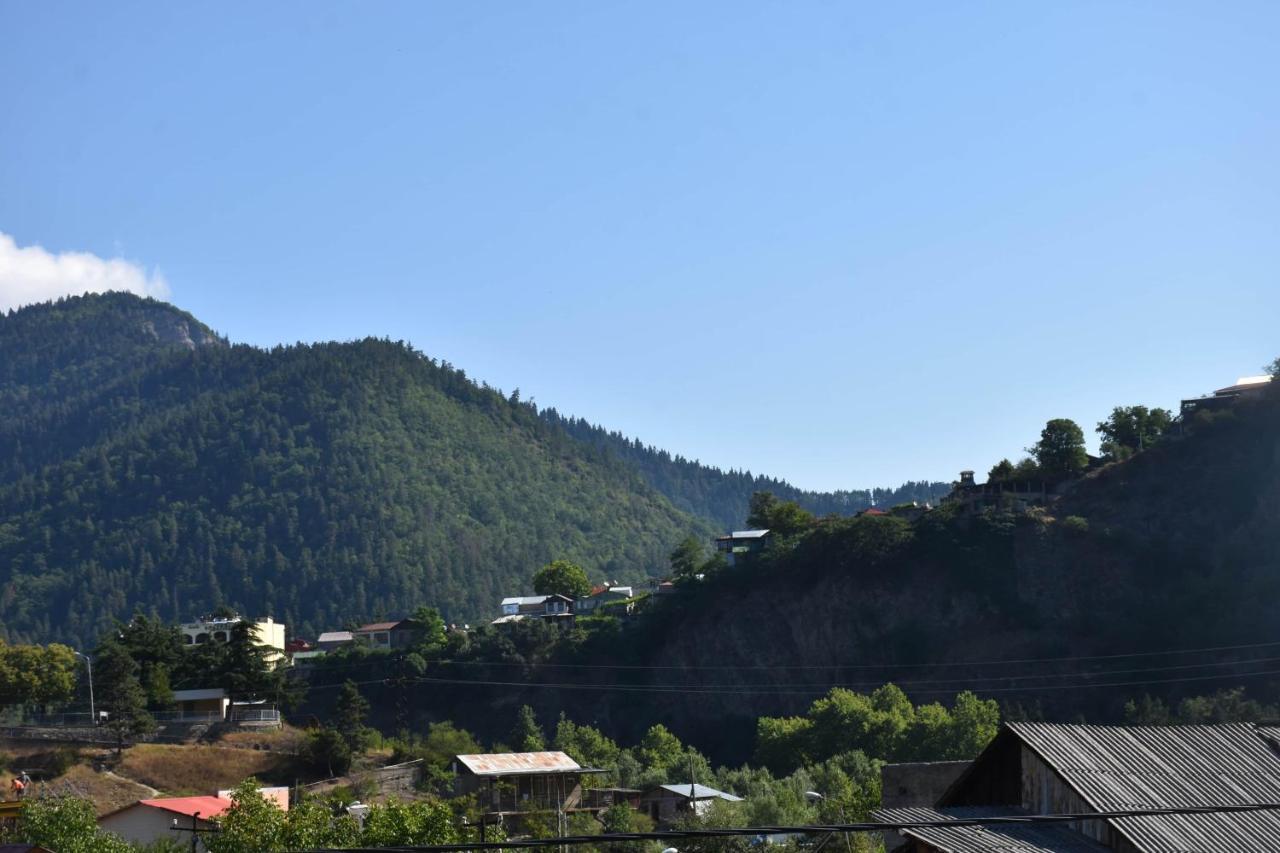 Holiday Home Borjomi Bagian luar foto