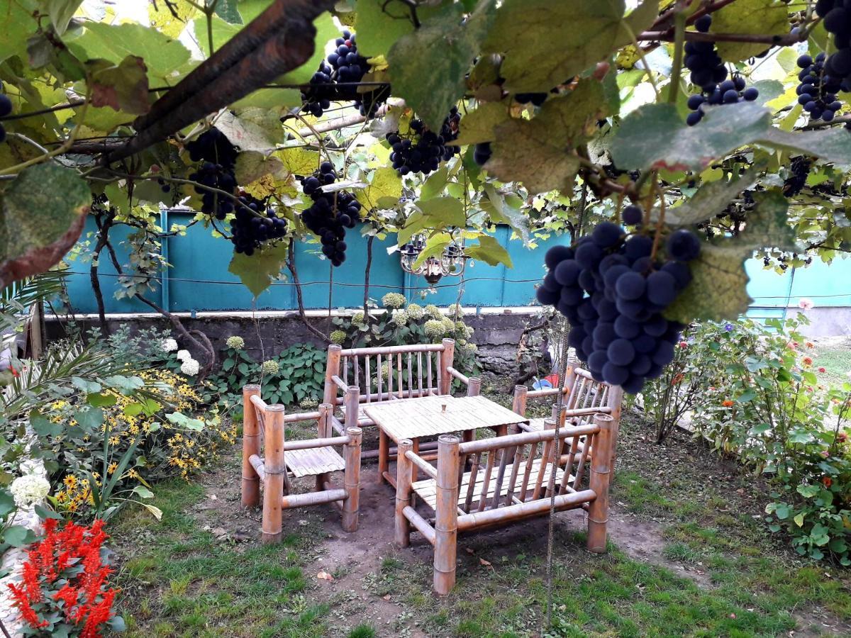 Holiday Home Borjomi Bagian luar foto