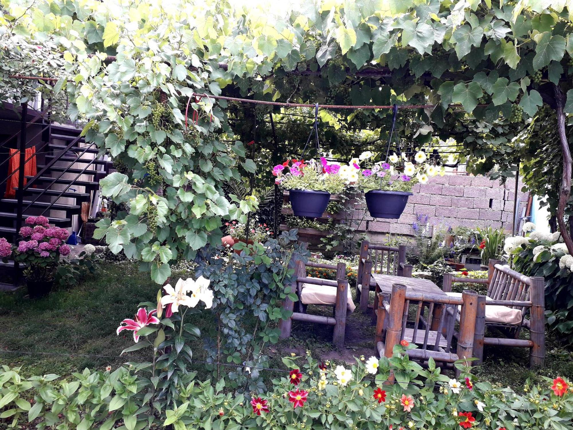 Holiday Home Borjomi Bagian luar foto